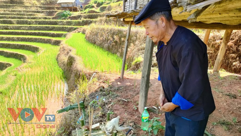 Độc đáo lễ cúng ruộng bậc thang của đồng bào Mông ở Mù Cang Chải, Yên Bái