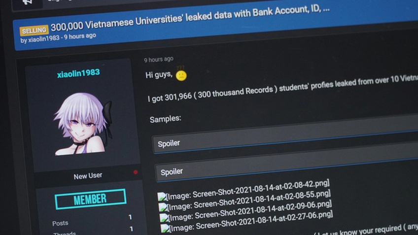 Hacker rao bán hơn 12.000 'hồ sơ' của giáo viên, sinh viên Việt Nam?
