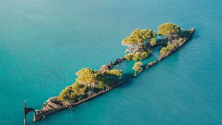 Xác tàu bỏ hoang hóa ‘rừng nổi’ giữa biển thu hút du khách đến check-in