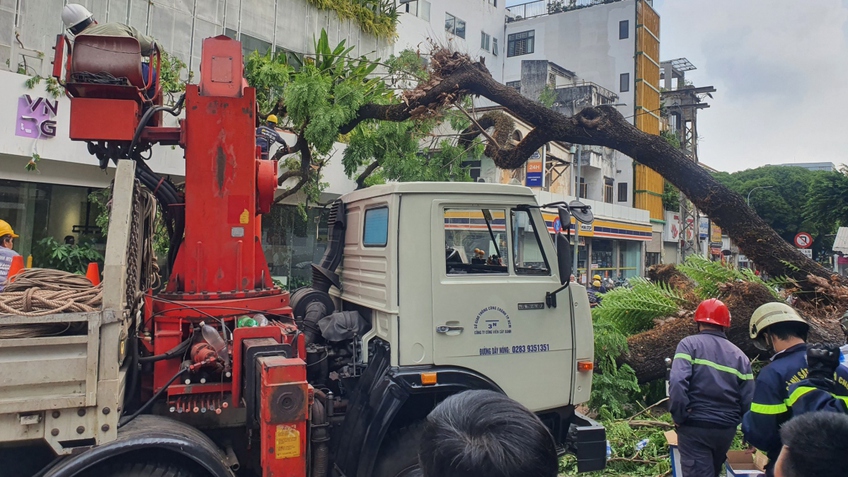 Vụ cây đổ ở TP.HCM: Hỗ trợ kinh phí điều trị cho các nạn nhân