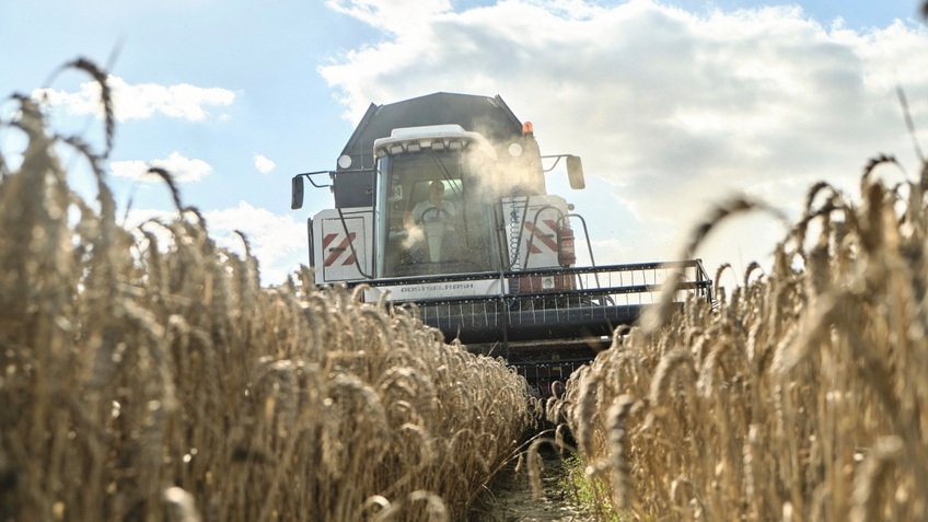 EU không gia hạn lệnh cấm nhập khẩu ngũ cốc của Ukraine