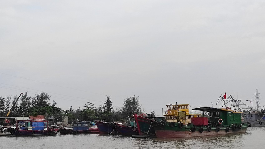 Hải Phòng, Quảng Ninh chủ động ứng phó với áp thấp nhiệt đới