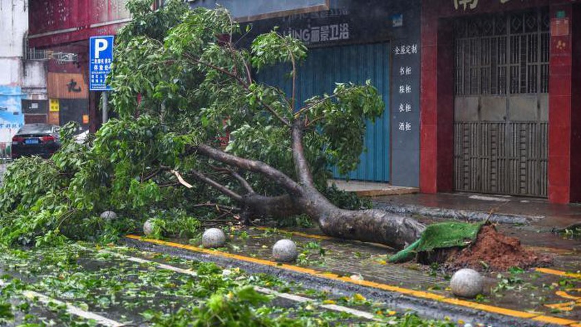 Trung Quốc: Siêu bão Yagi đổ bộ lần 2, có thể đổ bộ lần 3