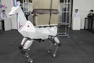 Nhật Bản: Robot 4 chân vận chuyển hàng hóa