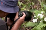 Nhiếp ảnh gia Malaysia bảo tồn nhiều loài thực vật có nguy cơ tuyệt chủng