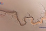 Thủy triều tạo hình rồng trên sông Tiền Đường, Trung Quốc